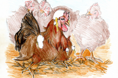 illustration-buch-005