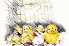 illustration-buch-008_small